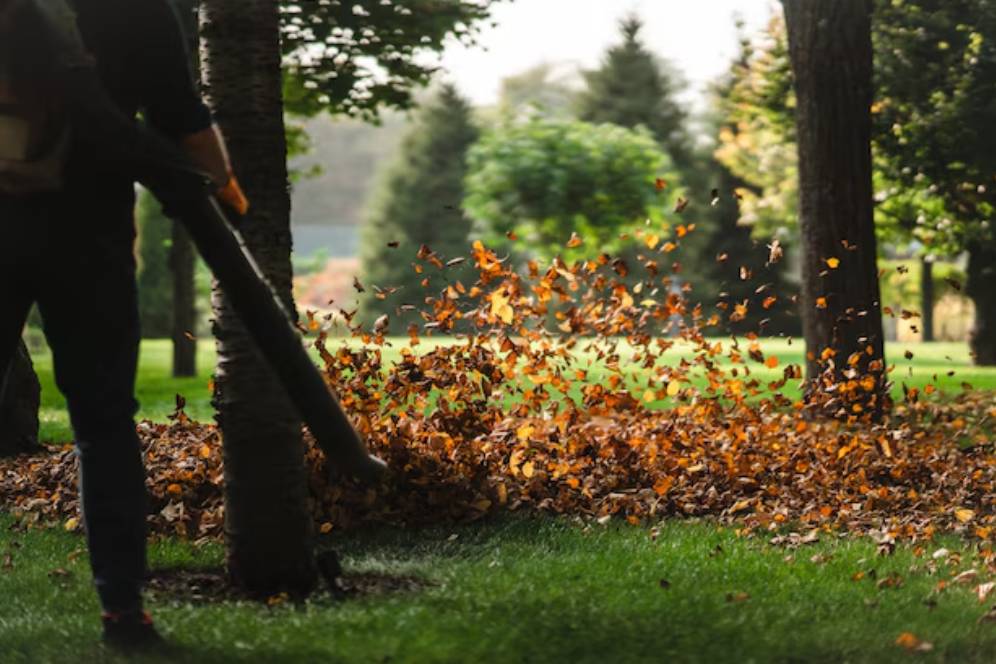 woman-operating-heavy-duty-leaf-blower