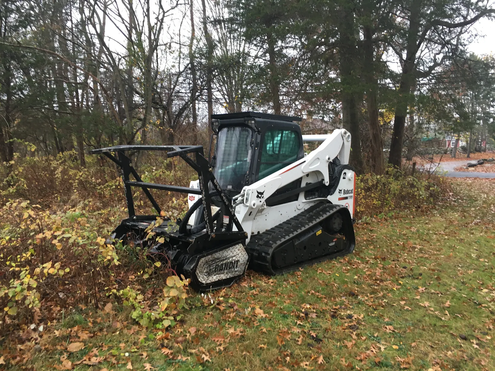 Carpenter Landscape - Brush Clearing