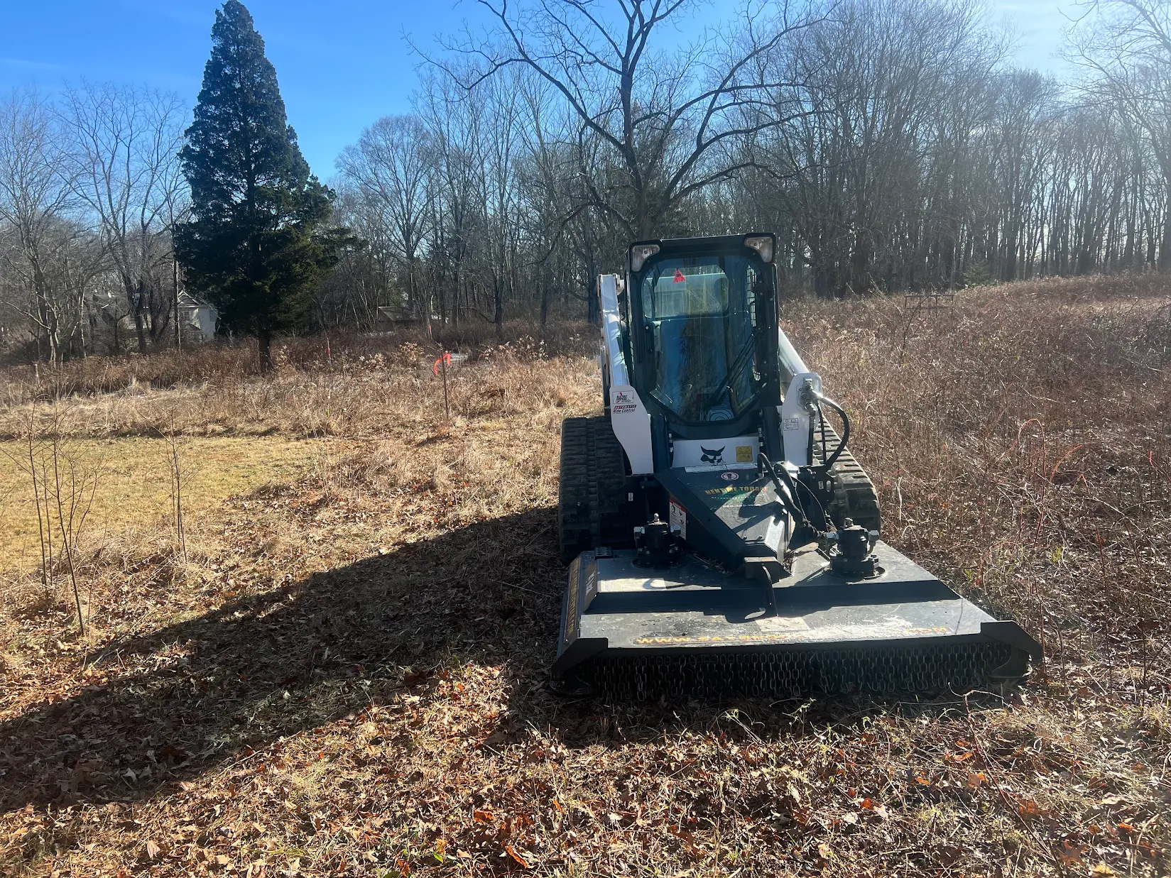 Carpenter Landscape - Brush Clearing